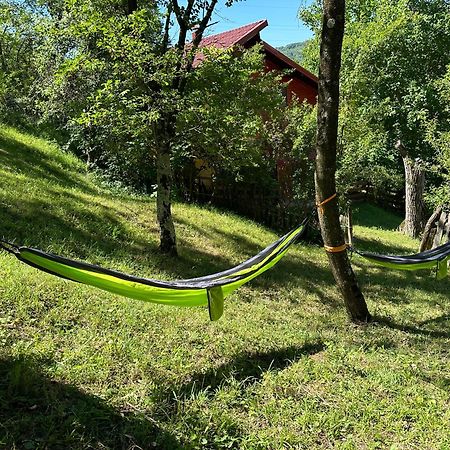 Casa Lupilor Transfagarasan Villa Căpăţîneni-Ungureni Eksteriør bilde