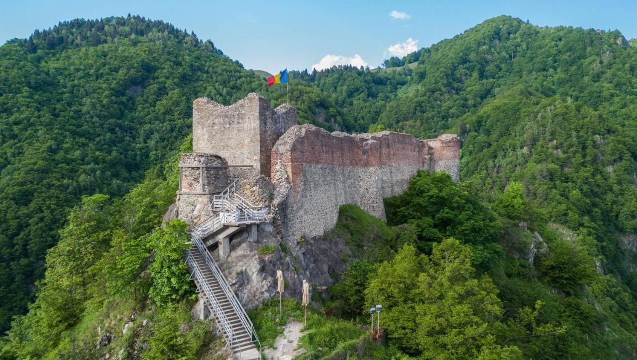 Casa Lupilor Transfagarasan Villa Căpăţîneni-Ungureni Eksteriør bilde