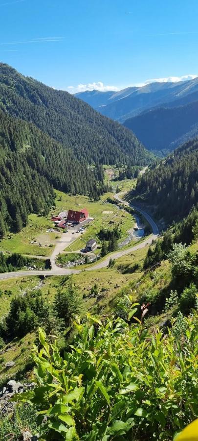 Casa Lupilor Transfagarasan Villa Căpăţîneni-Ungureni Eksteriør bilde
