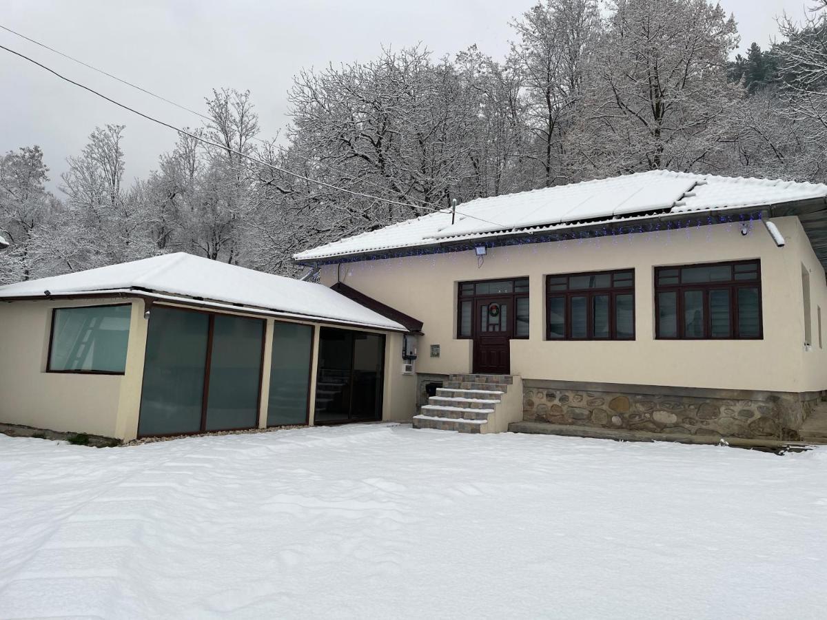 Casa Lupilor Transfagarasan Villa Căpăţîneni-Ungureni Eksteriør bilde