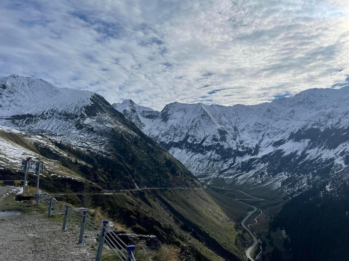 Casa Lupilor Transfagarasan Villa Căpăţîneni-Ungureni Eksteriør bilde