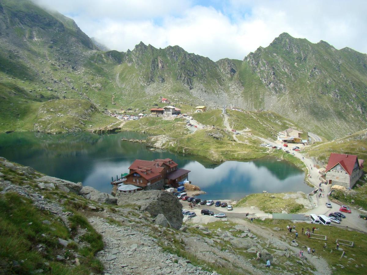 Casa Lupilor Transfagarasan Villa Căpăţîneni-Ungureni Eksteriør bilde