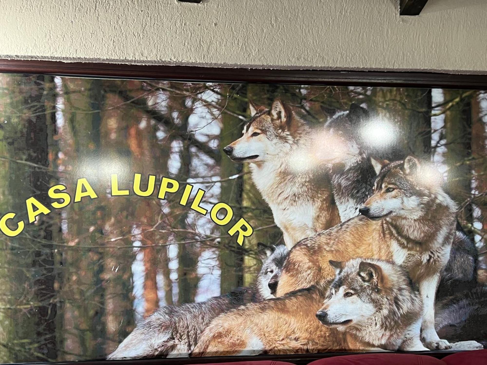 Casa Lupilor Transfagarasan Villa Căpăţîneni-Ungureni Eksteriør bilde