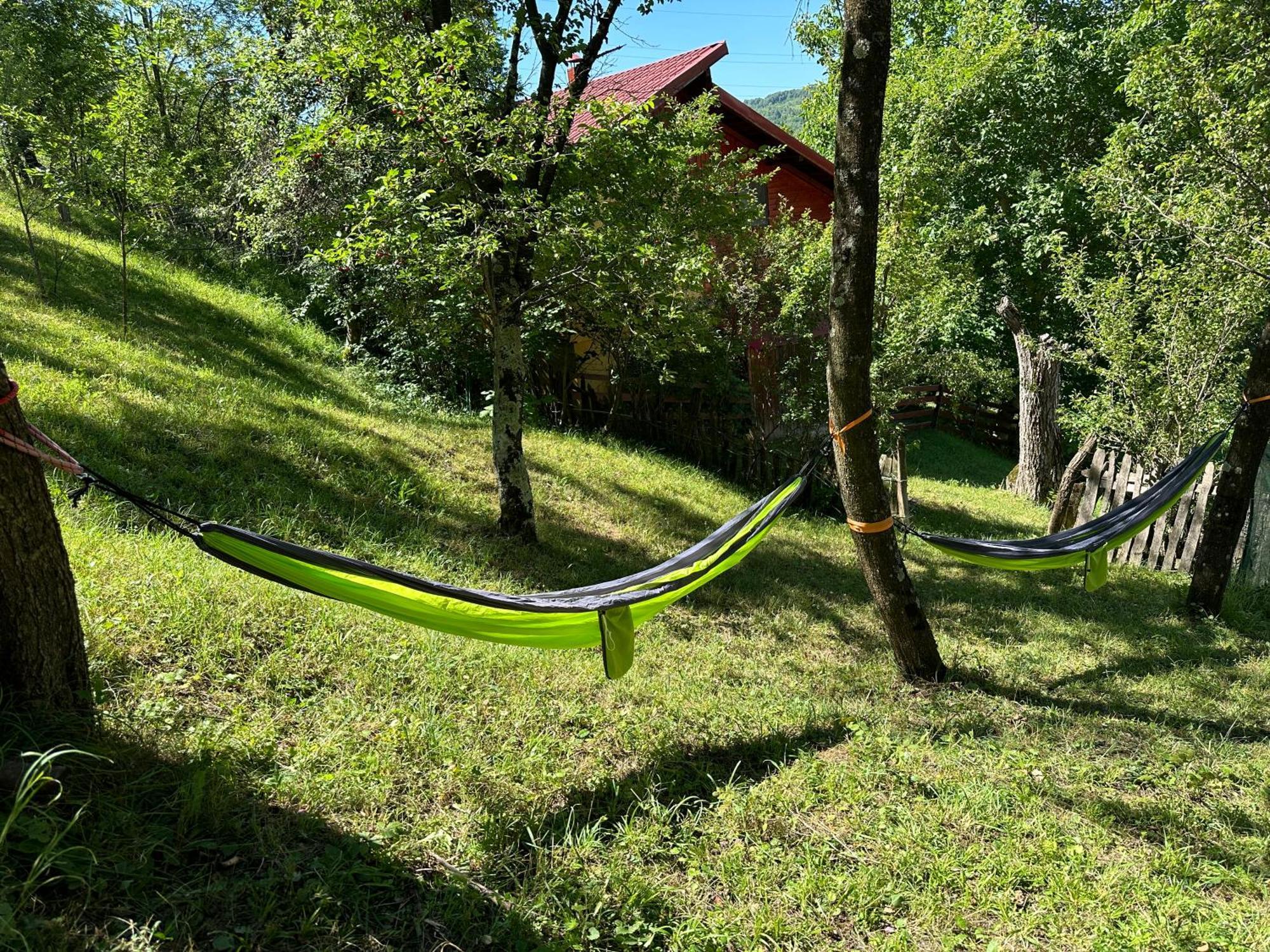Casa Lupilor Transfagarasan Villa Căpăţîneni-Ungureni Eksteriør bilde
