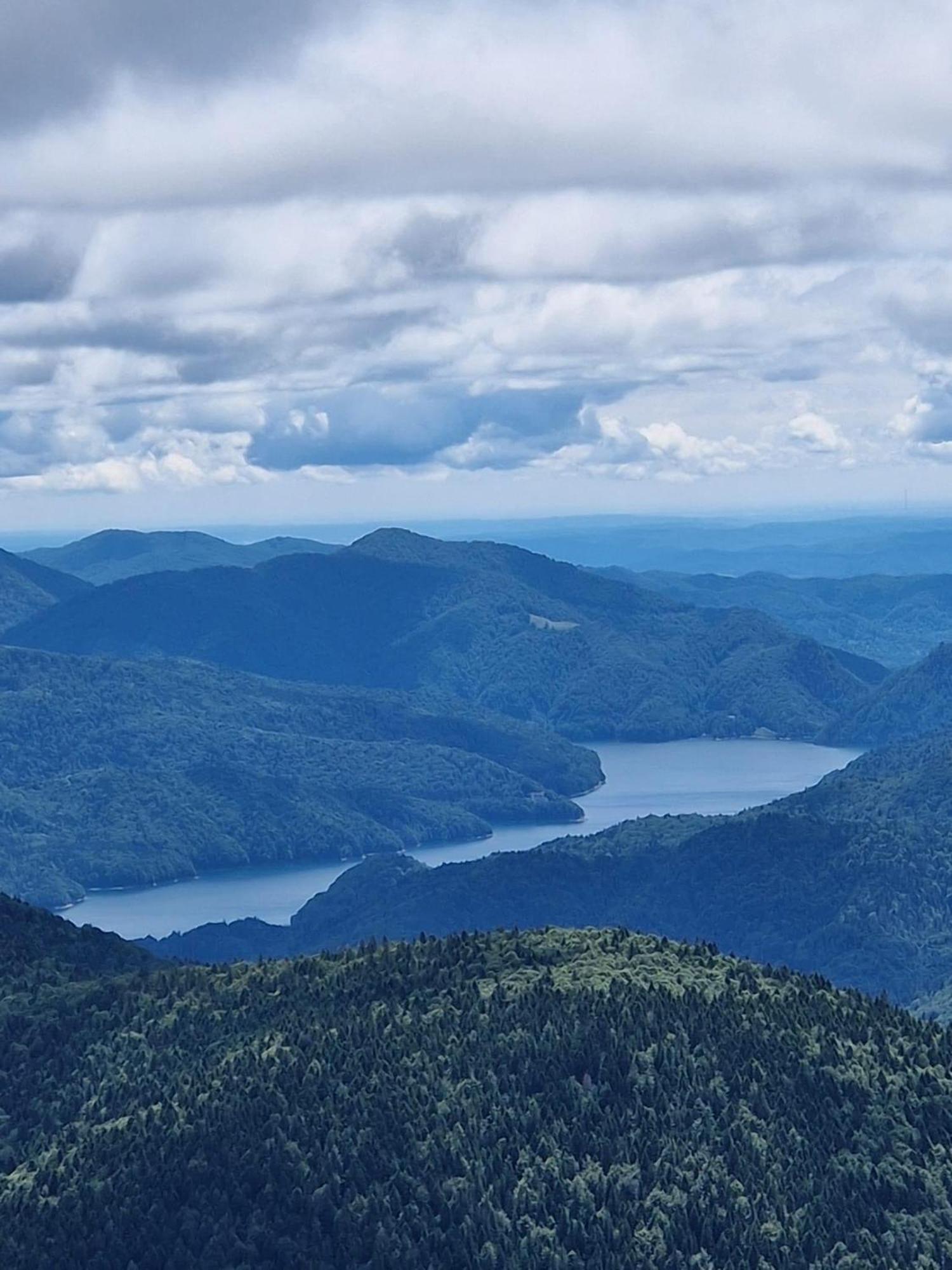 Casa Lupilor Transfagarasan Villa Căpăţîneni-Ungureni Eksteriør bilde