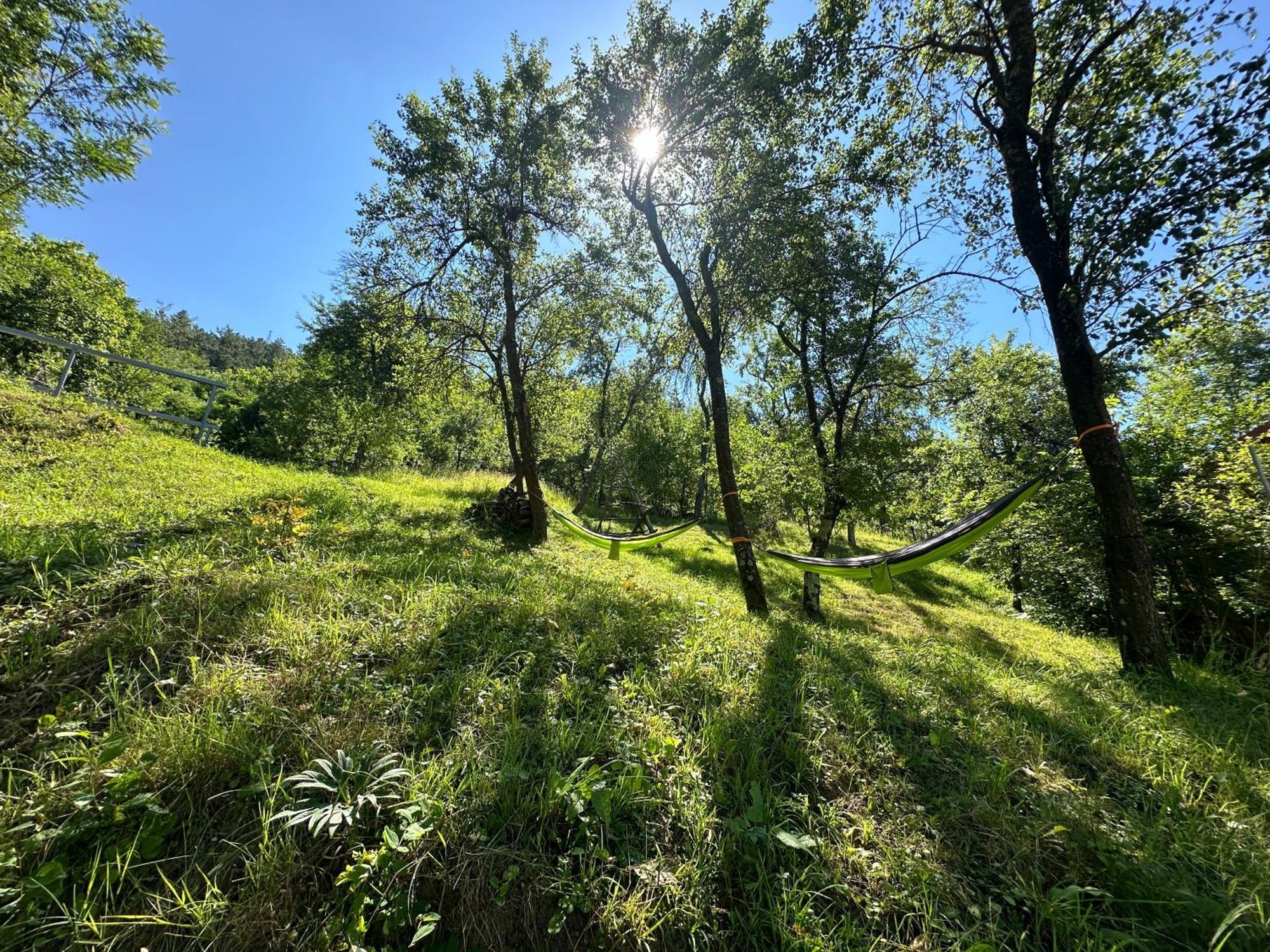 Casa Lupilor Transfagarasan Villa Căpăţîneni-Ungureni Eksteriør bilde